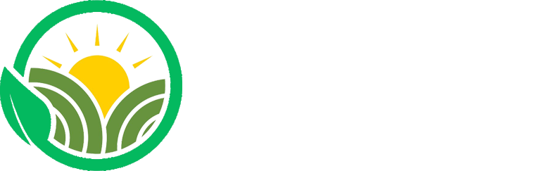 Image Not Found